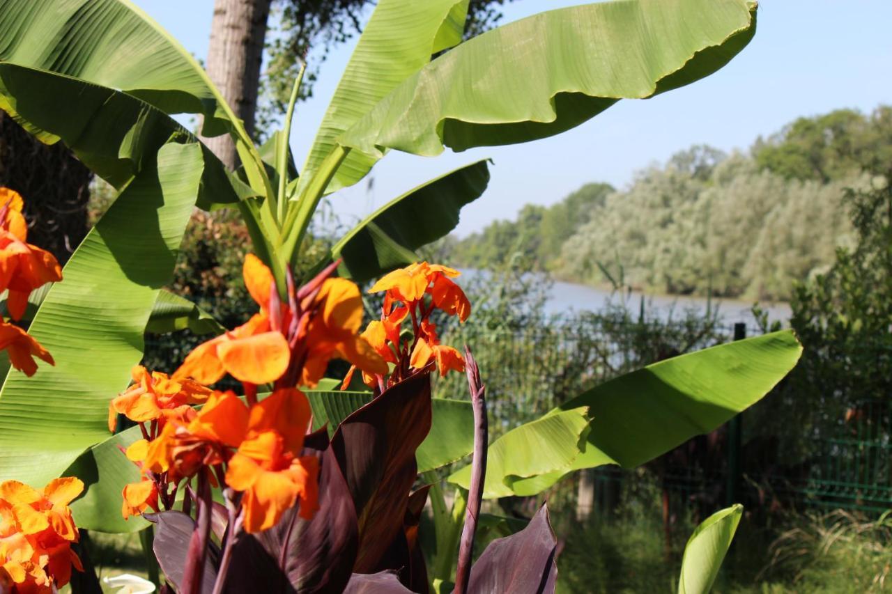 Clos Bernon Libourne Dış mekan fotoğraf