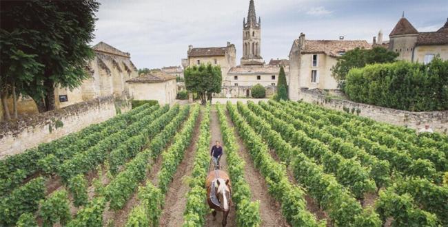 Clos Bernon Libourne Dış mekan fotoğraf